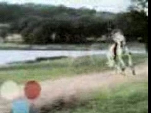 cheval pure race espagnole