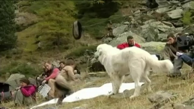 Voici Garfield, le chien vedette de Belle et Sébastien