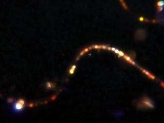 Pour les fêtes éclatez-vous, mais pas sur la route