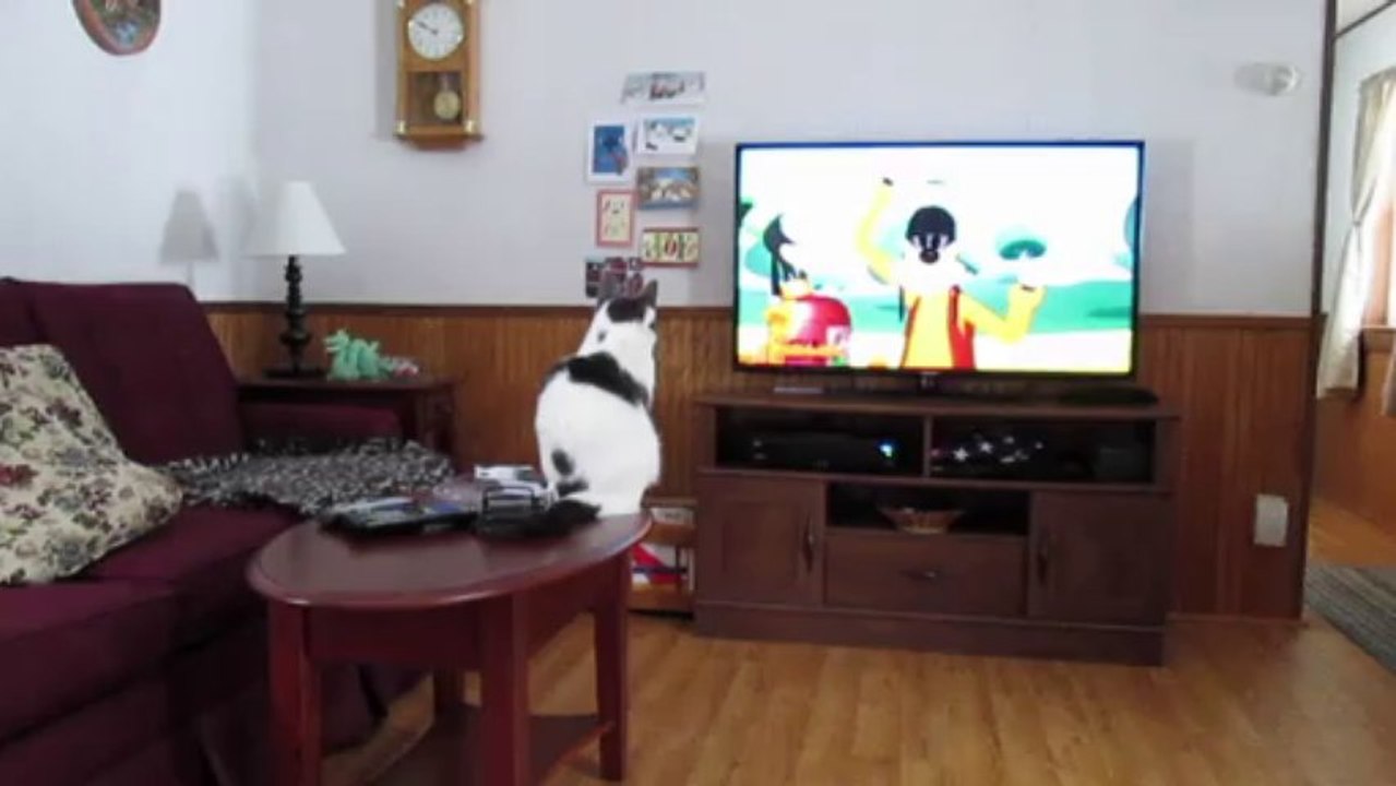 Paws Loves Cartoons 1