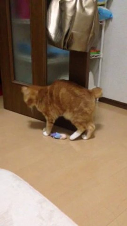 2013.12.16