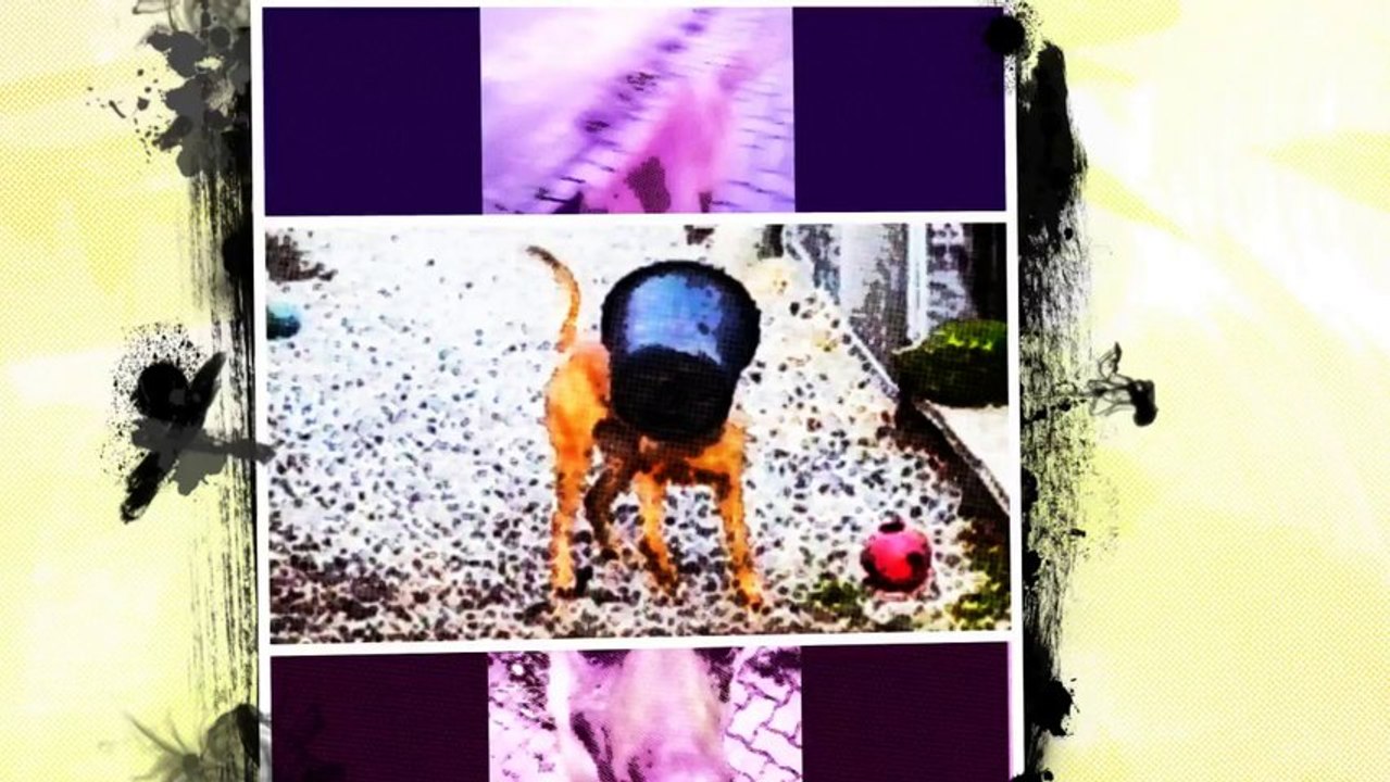 Be Aware Csocso @ CRAZY Girl !