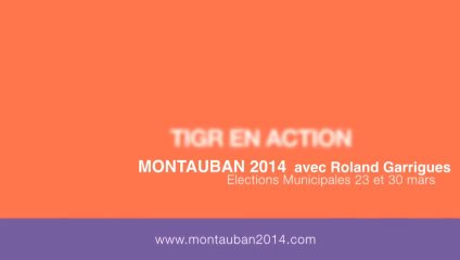 Intervention de Tigr (Graffeur) au Local de campagne : Montauban 2014