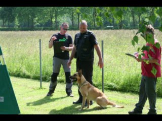 Be Aware Cobra @ IPO2 - Protectionwork