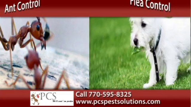 Marietta Rodent Control | PCS Pest Control Solutions Call 770-595-8325