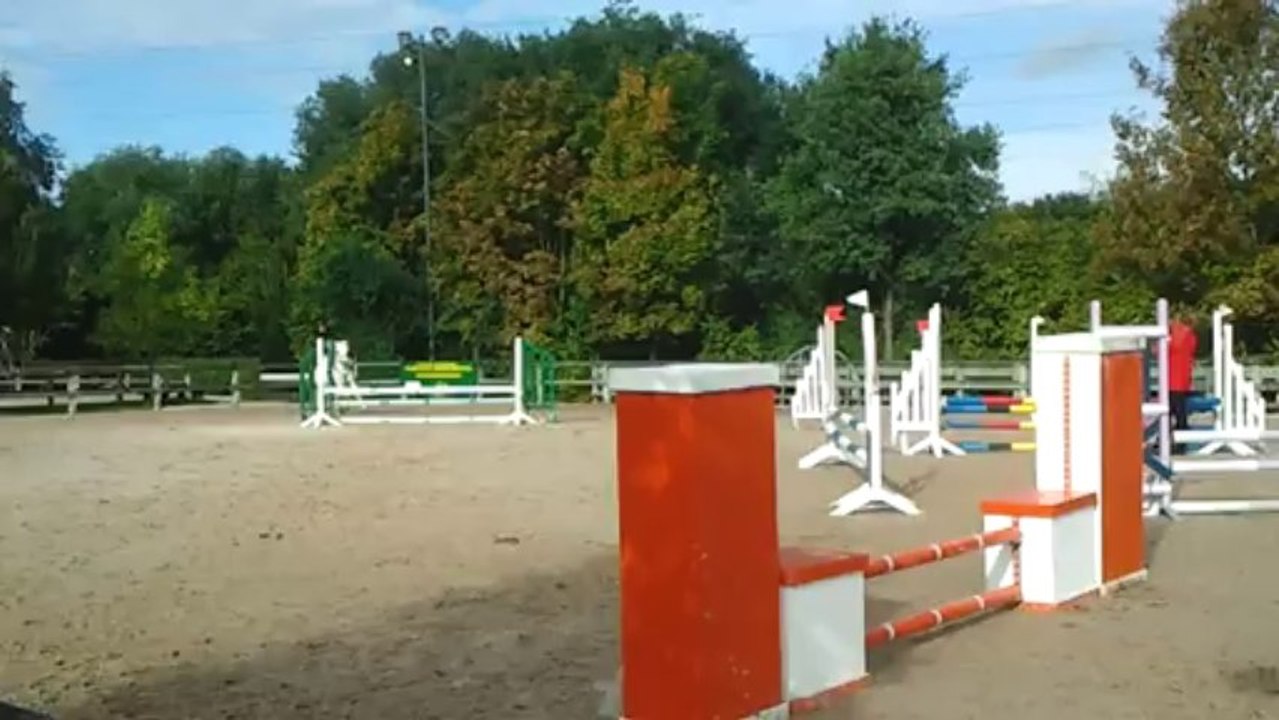 CSO 13.10.13 Quismie