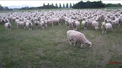 The Progressives Are Speaking