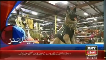 Headlines - 1300 - Tuesday - 31 - Dec - 2013