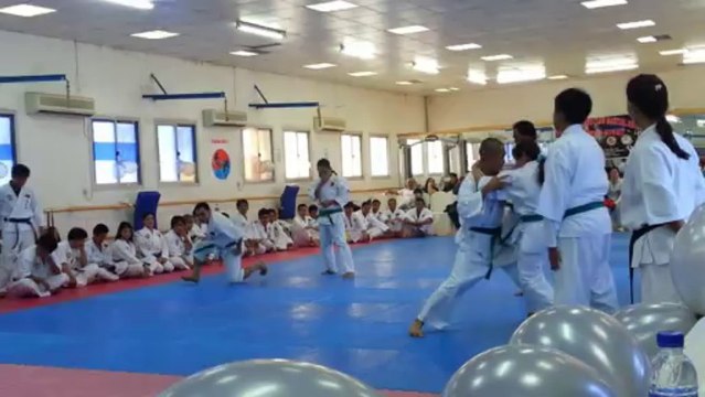 25th Silver Anniversary Green belts