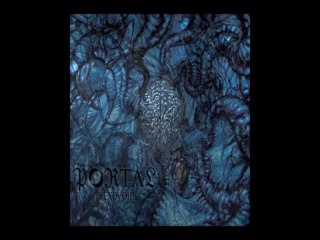 Portal-Vexovoid-Awryeon