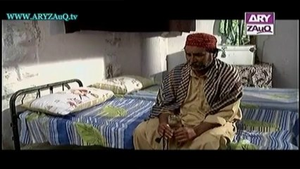Mehmoodabad ki Malkain, Episode 195, 30-12-13