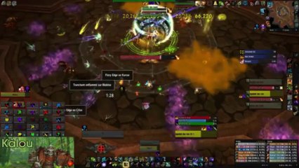 The Howl vs Paragons of the Klaxxi 25 HM