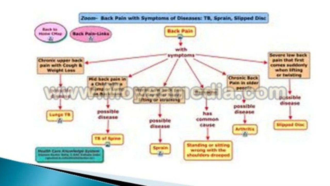 Find Best Back Surgeon