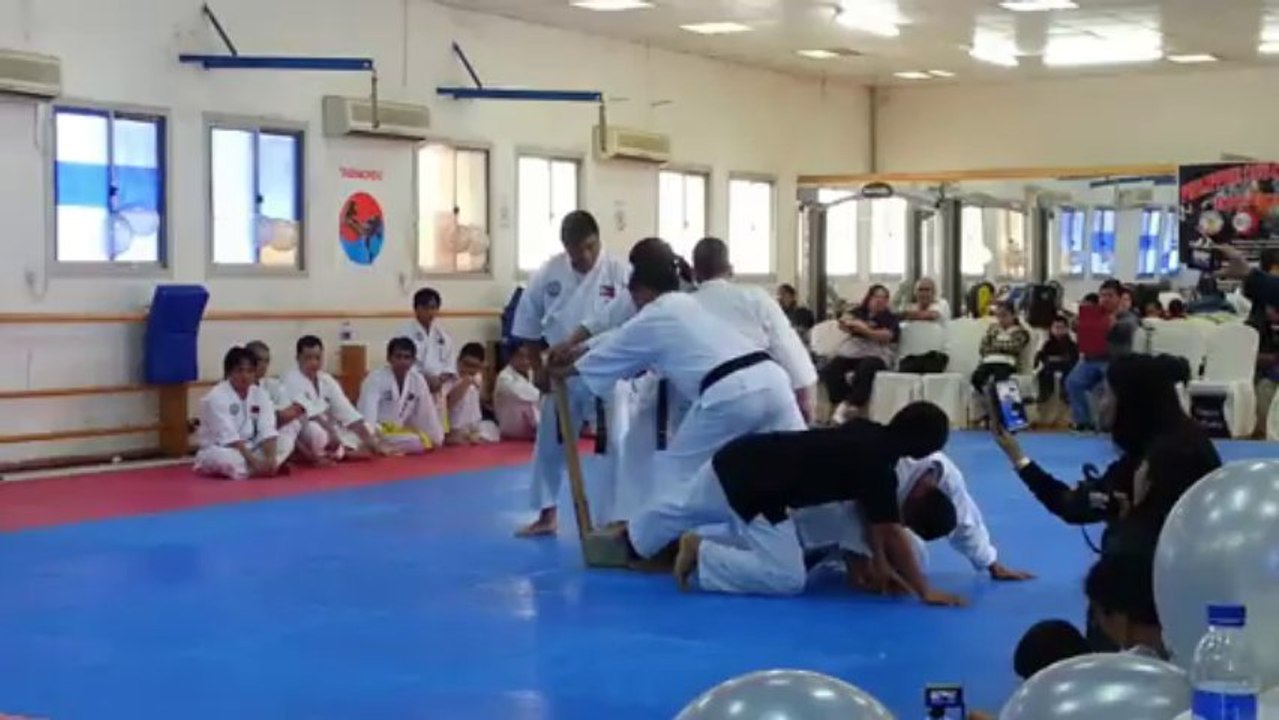 25th Silver Anniversary Baseball bat Breaking Sensei Larry