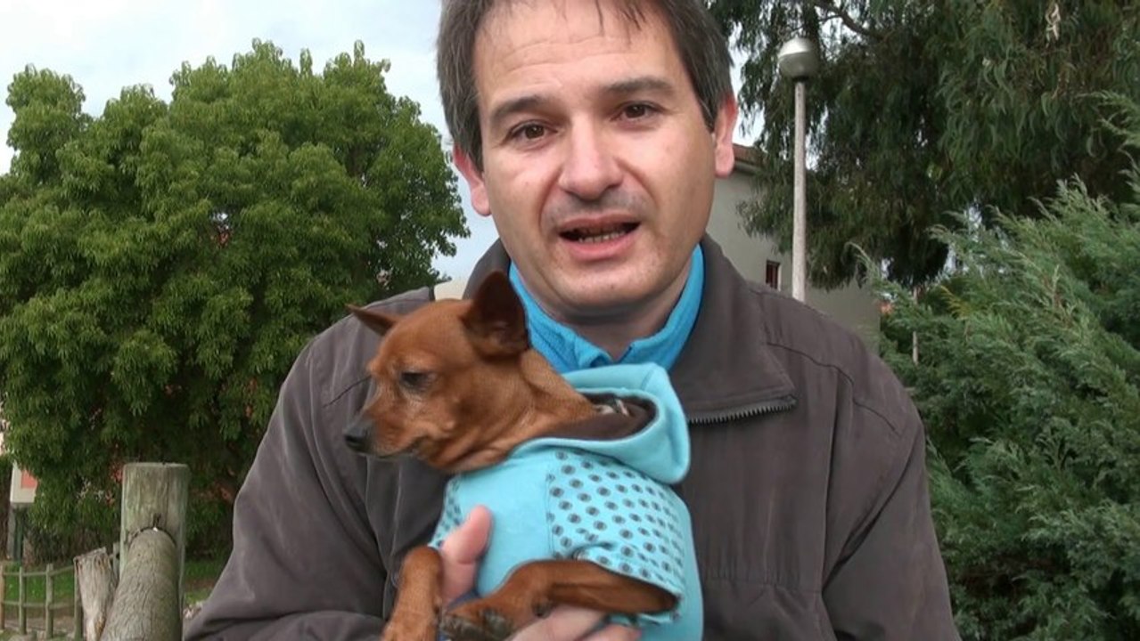 Felicitación de año nuevo 2014