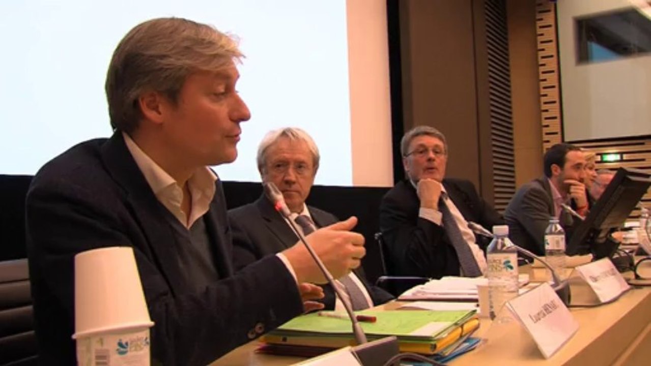 Voeux de Jean-Louis Borloo et Laurent Hénart