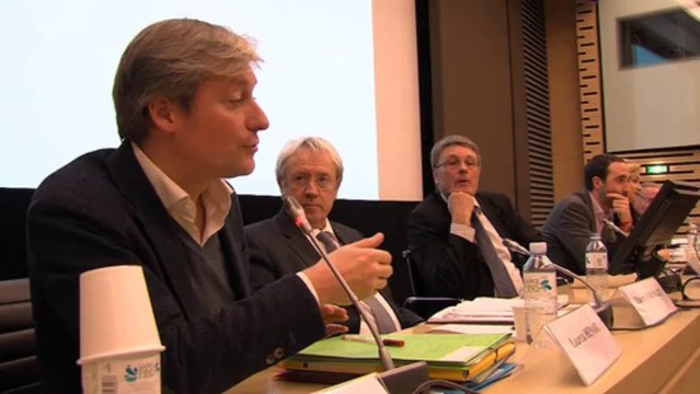 Voeux de Jean-Louis Borloo et Laurent Hénart