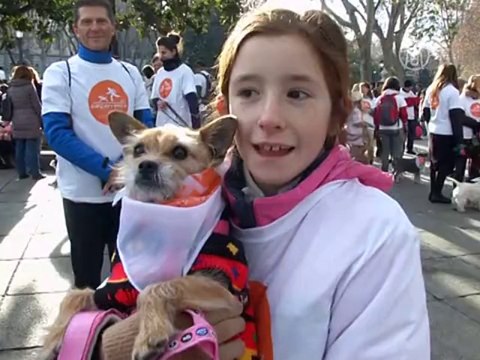 В Мадриде прошел собачий забег