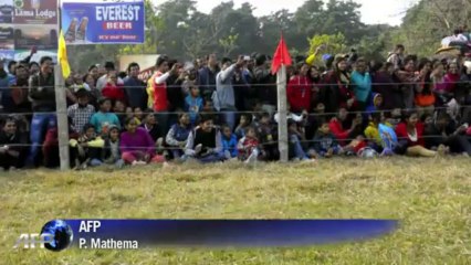 Elephants compete for top prizes at Nepal festival