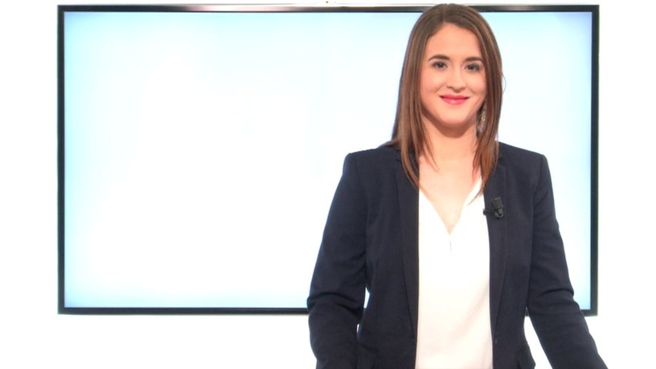 Top : Laurent Fabius Flop : Canal +