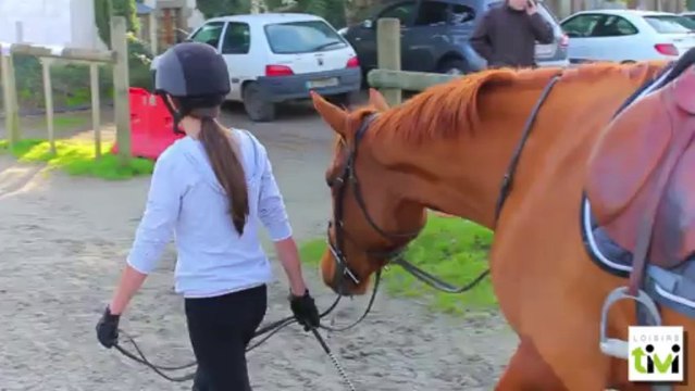 Ecurie Gélébart, Centre équestre à Plabennec dans le Finistère (29)