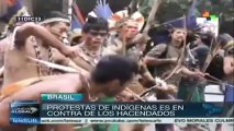 Brasil: pueblos originarios se movilizaron para exigir sus derechos