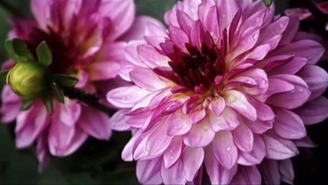 ALAEDDİN YAVAŞÇA - UZAKTAN MERHABA OLMAZ Hüzzam