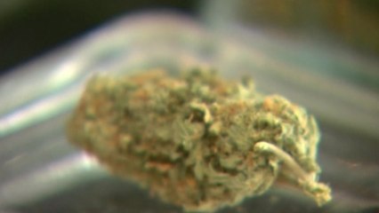 Colorado ringing in the New Year with legalized pot stores