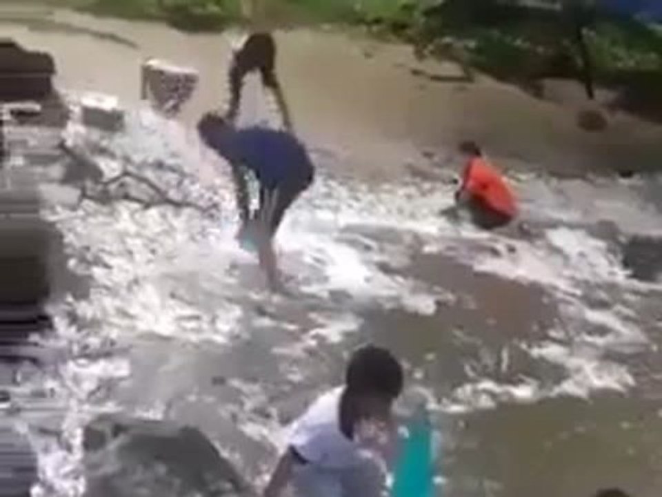 Flying Fish Take Over Shore!