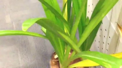 First's Highlights from 25 October 2013 3:32 pm