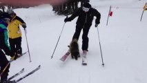 Porcupine Attacks Skier