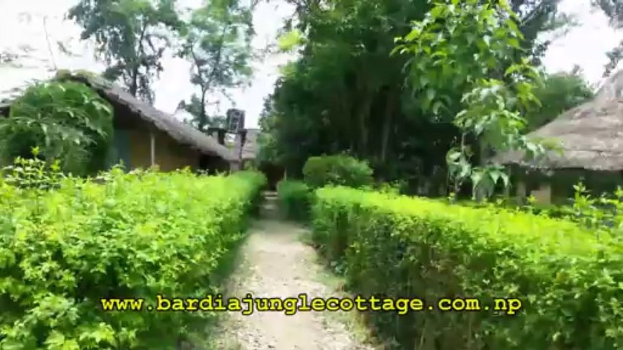 Bardia National Park--Wildlife Adventure in West Nepal.