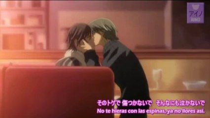 [AinoF] Junjou Romantica OP1 AMV   Kimi=Hana