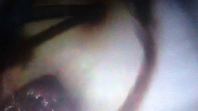 gaziantepkombipetek.com Gaziantep petek temizliği 0536 985 1352 7/24 petek temizleme