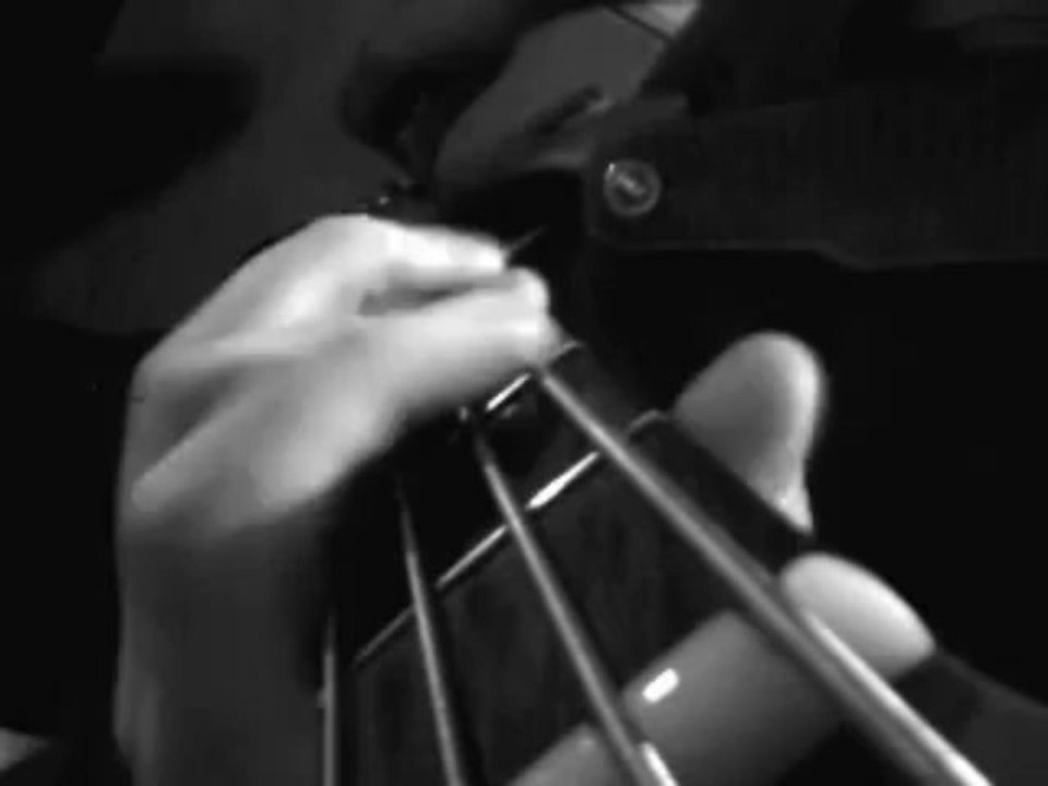 Behavior - Lenie (bass cover)