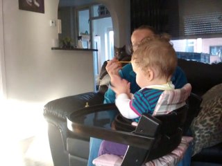 Nikki eten in stoeltje