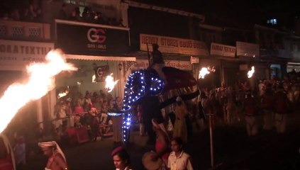 Sri Lanka - Thé, éléphants et processions