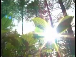 Musharaf Bangash New Song about Pakhtu