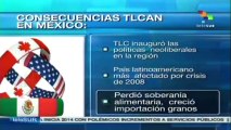 TLCAN con EE.UU. y Canadá no trajo los beneficios esperados en México