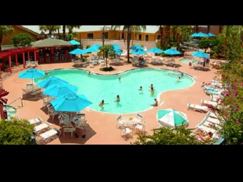 Quality Suites hotel orlando