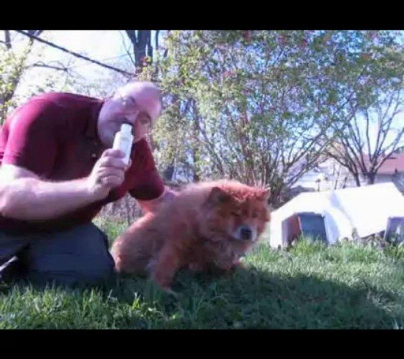 Urine Smell, Ways to Locate the Source?