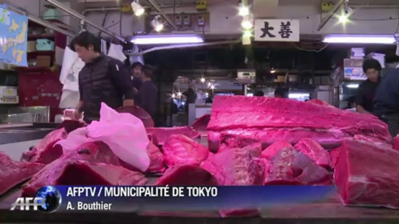 Japon: le plus grand marché au poisson du monde déménage