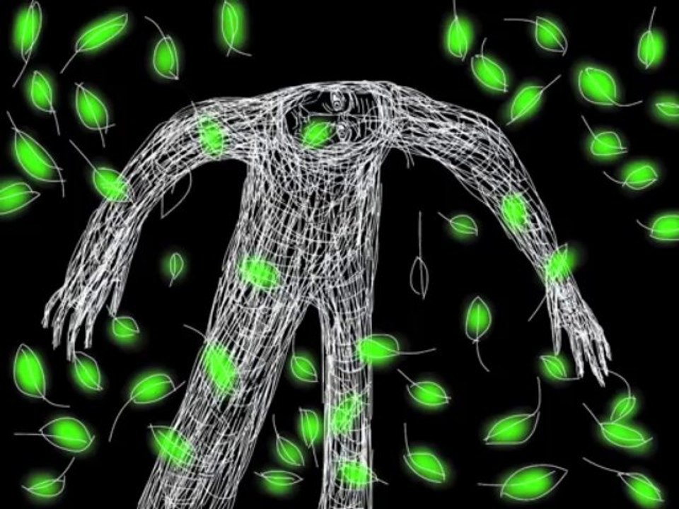 Petrek - Le vieil arbre et le vent -  www.petrek.fr