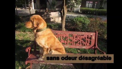 Spots publicitaires en classe de FLE
