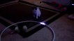 2 chats deviennent dingue avec la lumière d'un Hula Hoop : Hooper Kittys!