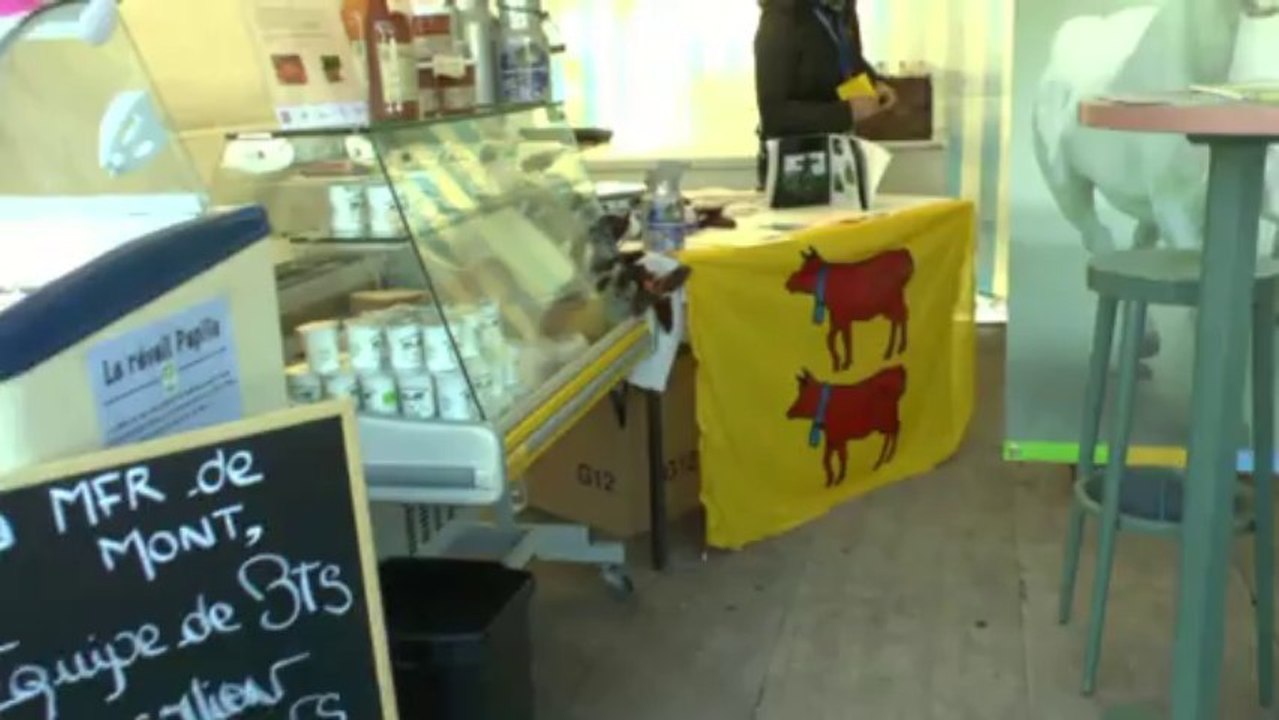 LES  W-D.D. MICHOU NEWS - 23 OCTOBRE 2013 - LES ETOILES DE PAU - LE VILLAGE EQUITEX - CONCOURS DE DRESSAGE.