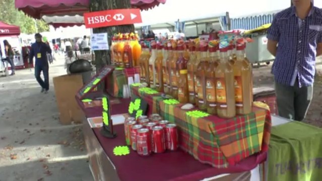 LES W-D.D. MICHOU NEWS - 25 OCTOBRE 2013 - 3 ème JOURNEE DU CONCOURS HIPPIQUE INTERNATIONAL DE PAU.