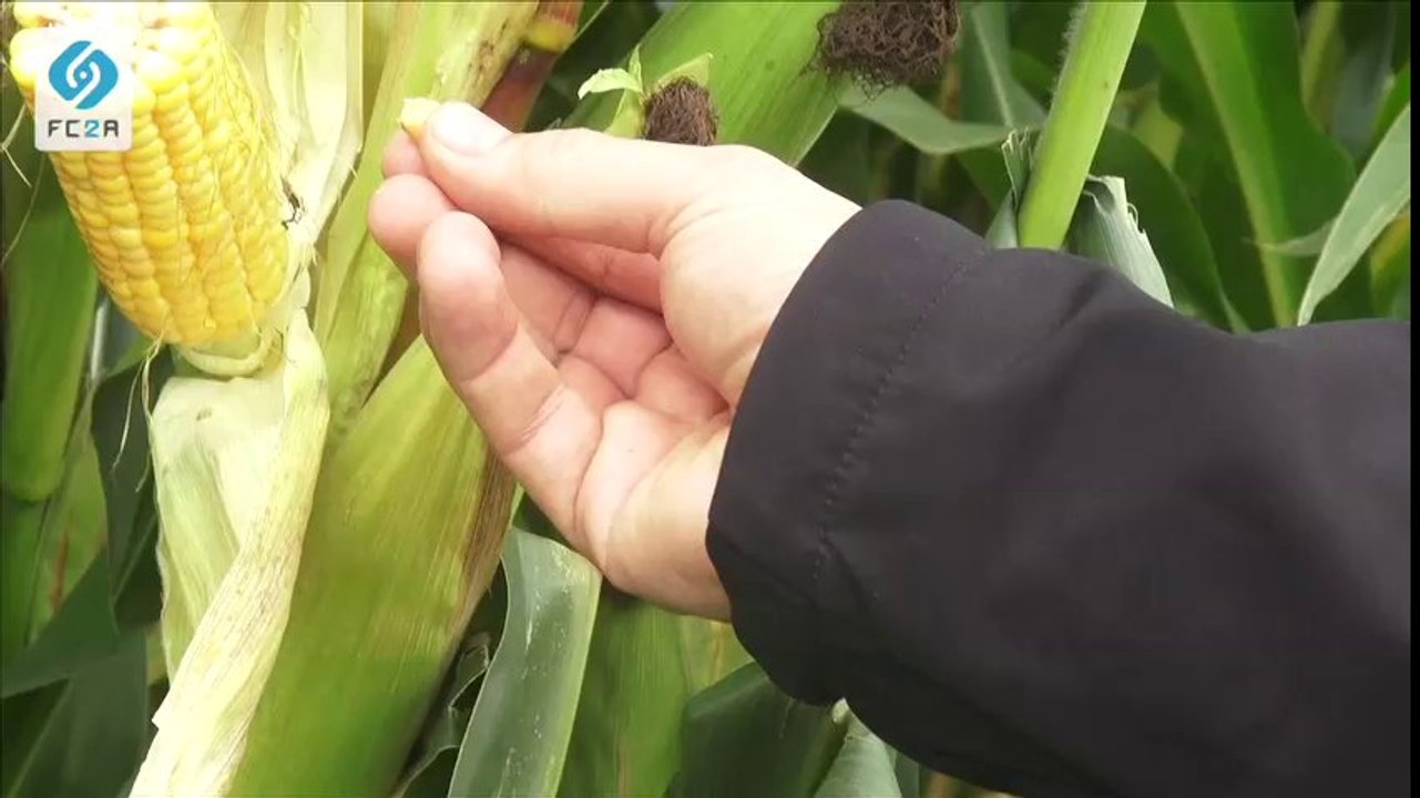 STOPHYTRA, le négociant responsable