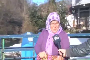 "Kuş diline" sertifika