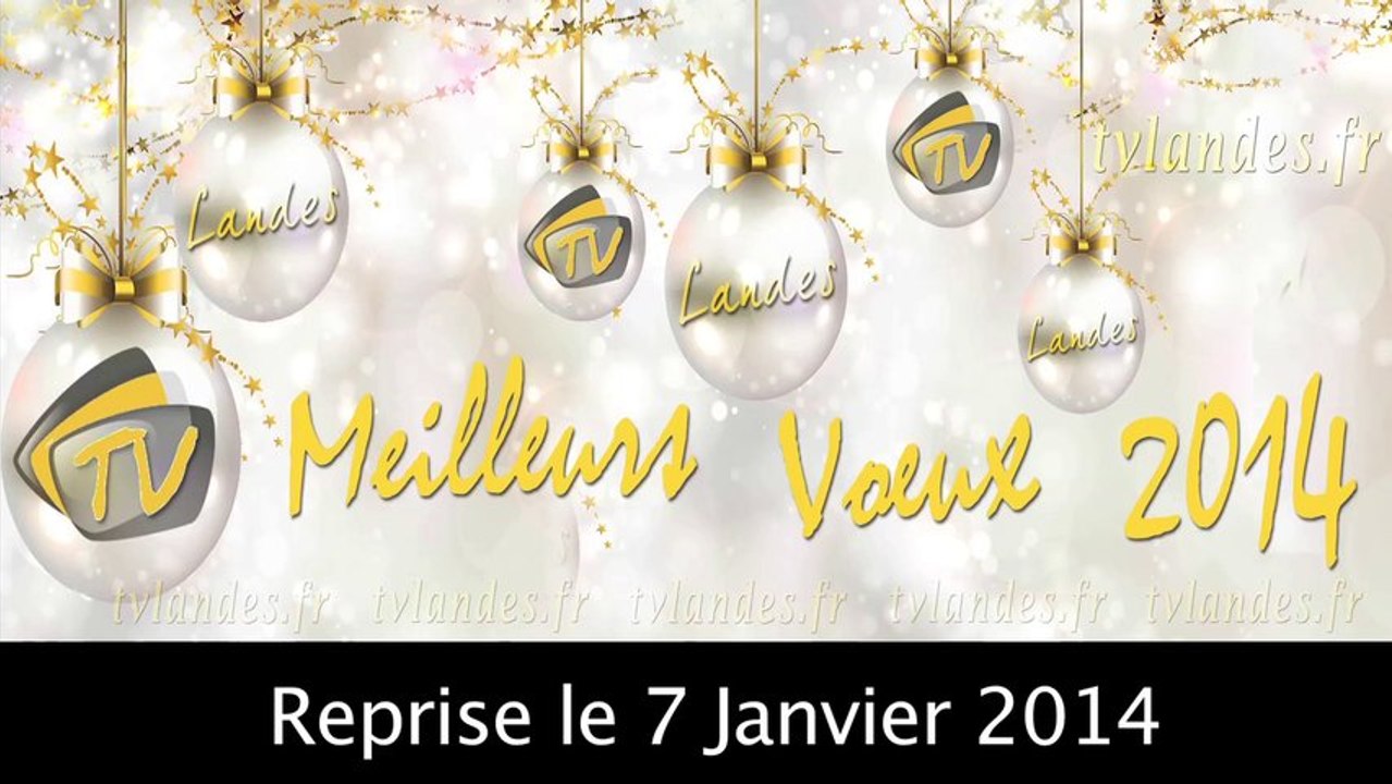 voeux_2014